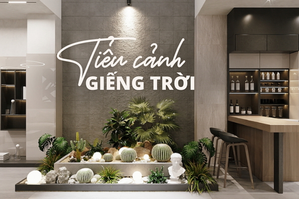 50 Mẫu tiểu cảnh giếng trời trong nhà đẹp ngất ngây