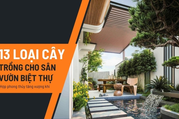 13 Loại cây trồng sân vườn biệt thự hợp phong thủy tăng vượng khí