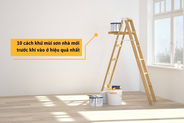 Thử ngay 10 cách khử mùi sơn nhà mới​ trước khi vào ở hiệu quả nhất