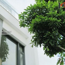 Mẫu thiết kế biệt thự hiện đại thu hút đầy ấn tượng BTCC1426