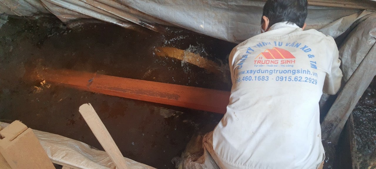 Công tác ngâm gỗ tự nhiên